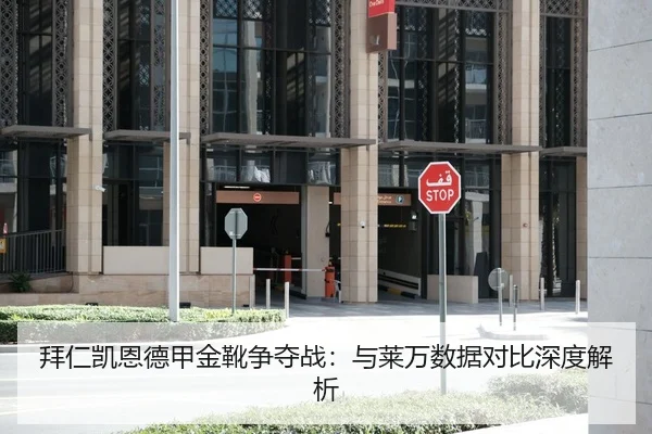 拜仁凯恩德甲金靴争夺战：与莱万数据对比深度解析