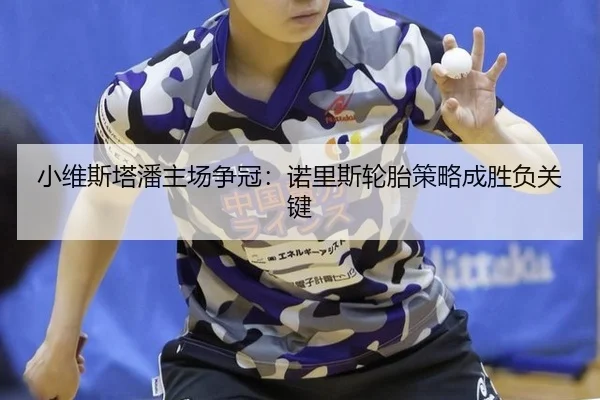小维斯塔潘主场争冠：诺里斯轮胎策略成胜负关键
