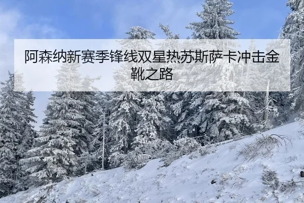 阿森纳新赛季锋线双星热苏斯萨卡冲击金靴之路